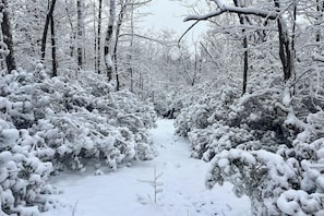 Interior - Yogis Paradise w/ Deck ~ 1 Mi to Yogaville! (Buckingham)