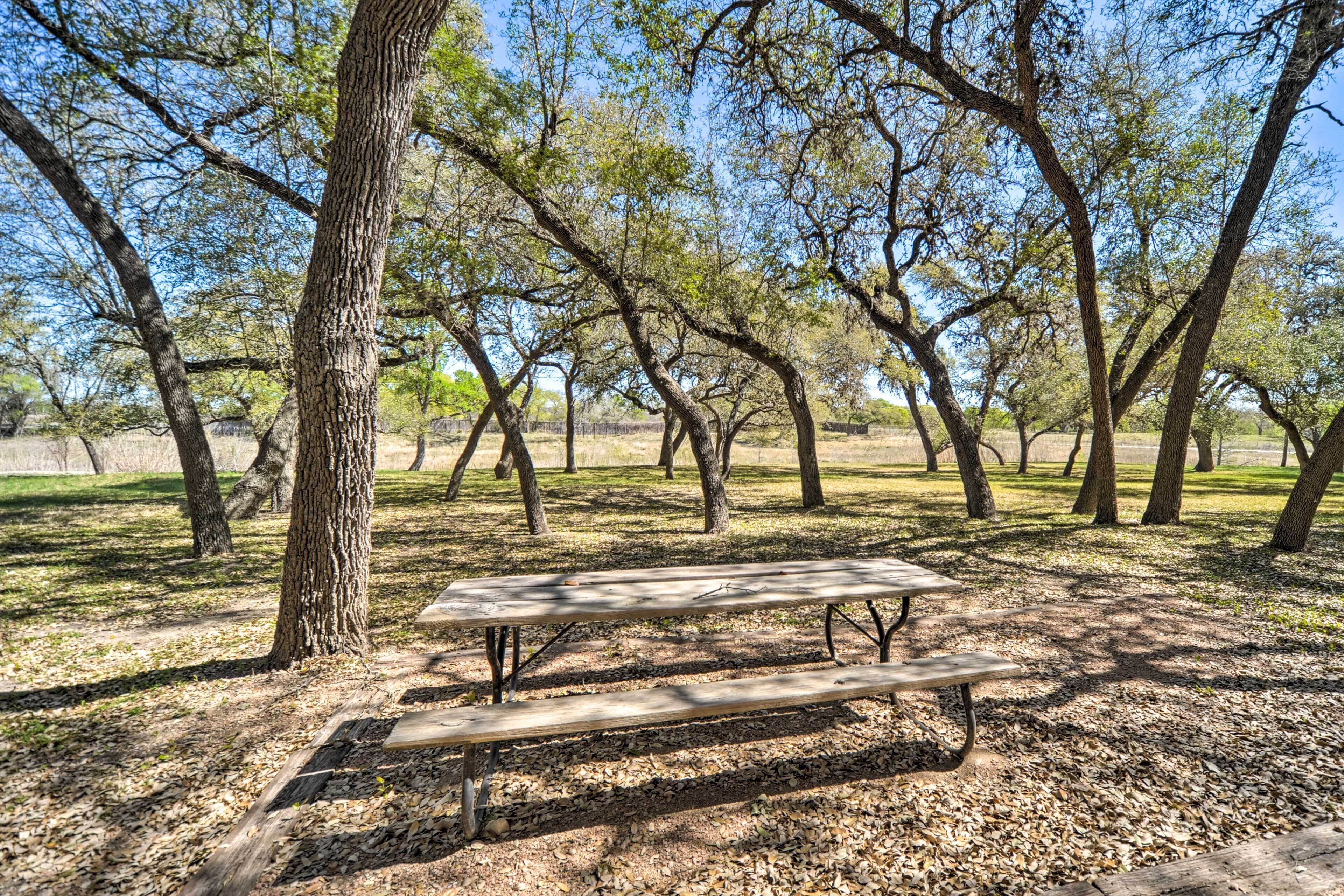 A picnic table in a park with trees and a clear sky.