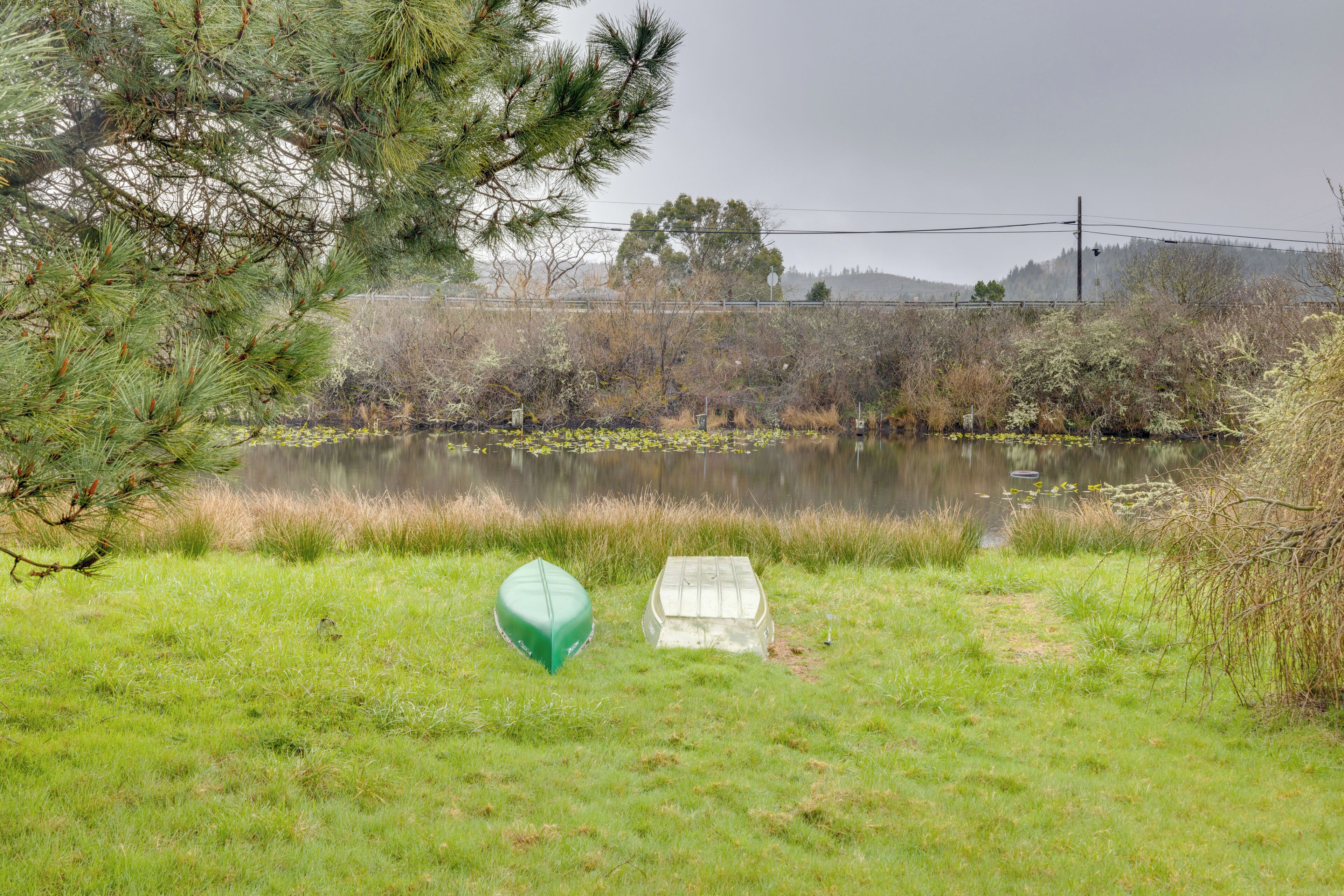 A grassy area with a pond, a green object, and a white object.
