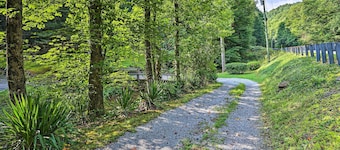 Walk to Trails: Creekside Roan Mountain Cabin