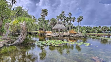 Casa (3 Bedrooms) | Parte interna