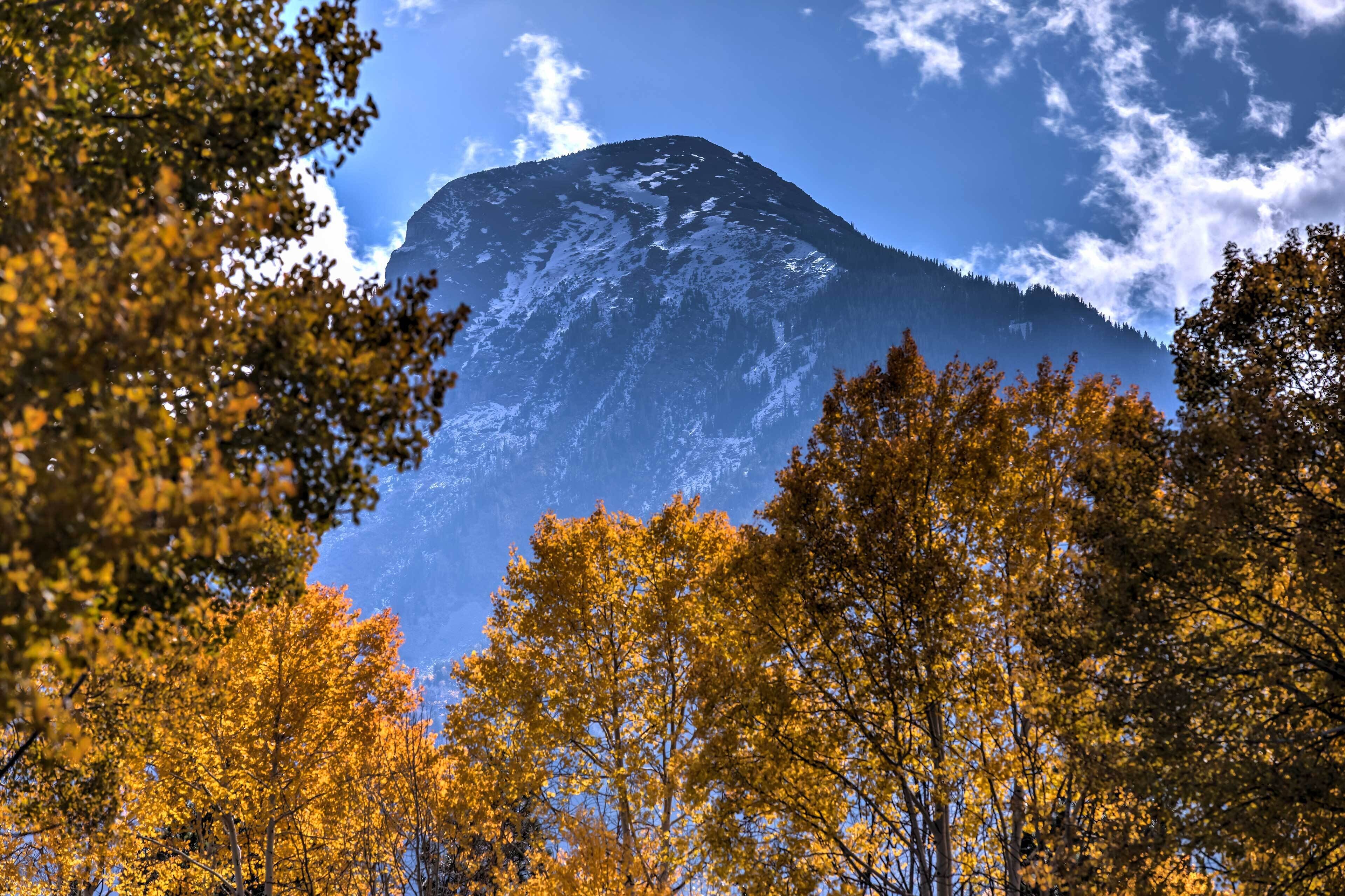 Ein Berg mit schneebedecktem Gipfel, umgeben von Bäumen in Herbstfarben.