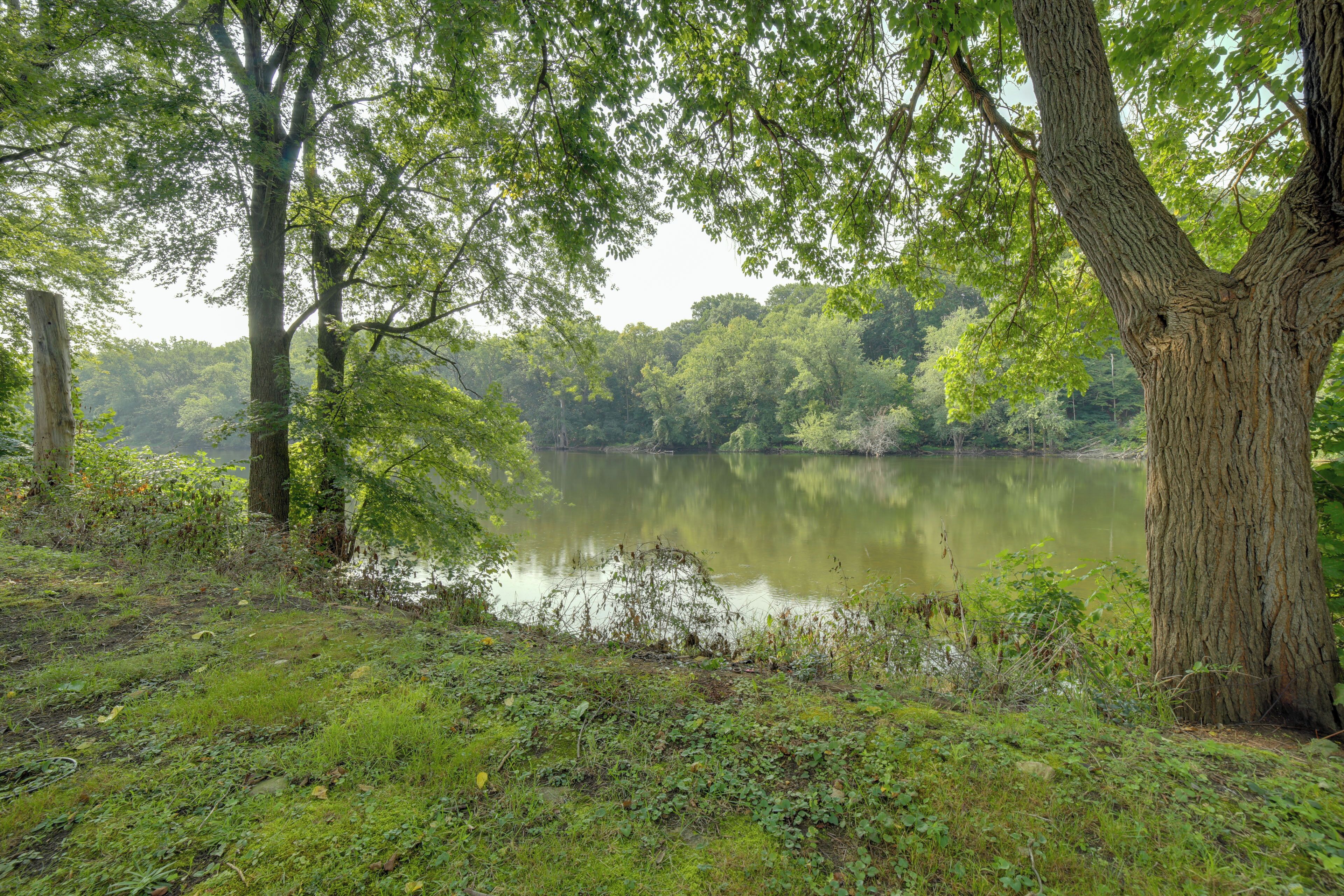 A serene lakeside setting with dense greenery and trees.