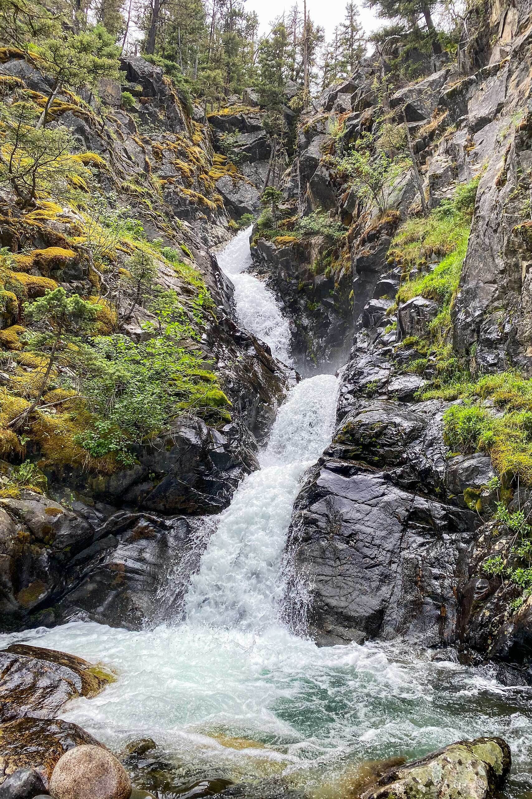 A waterfall cascading through a rocky gorge with moss-covered rocks and trees.