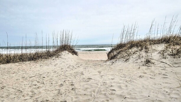 A sandy beach with dunes and sparse vegetation. - Ocean-view Balcony: Beachfront Hilton Head Condo (Hilton Head Island)
