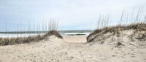 Apartment (1 Bedroom) | Interior