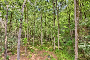 Maison (3 Bedrooms) | Intérieur
