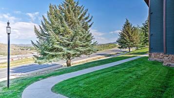 Apartment (1 Bedroom) | Interior