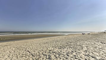 Appartement (2 Bedrooms) | Interieur