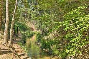 Un canal estrecho y natural bordeado de abundante vegetación y árboles, con un sendero de tierra a su lado.