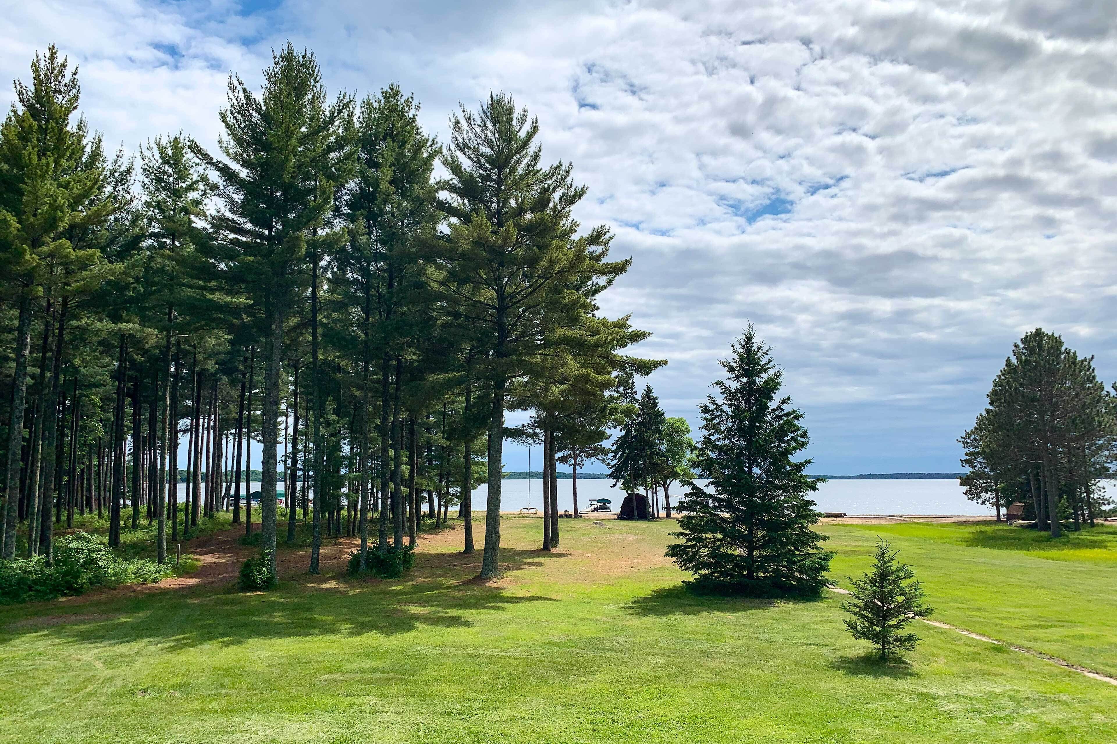 A grassy area with tall trees and a view of a body of water.