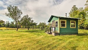 A small green house with a porch and a chimney, surrounded by a grassy field and trees. - Serene Wilderness Acres Retreat on Bear Lake (Mc Grath)