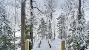 Un sentier forestier enneigé, bordé de portails en bois.