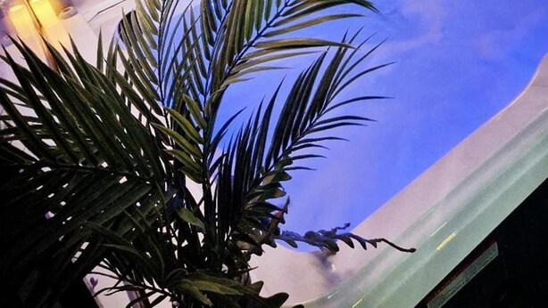 A modern indoor swimming pool with clear water, surrounded by potted plants and a minimalist design. - 1 Bed Flat - Sleeps 2 - Jacuzzi - Parking - Wifi (Birmingham)