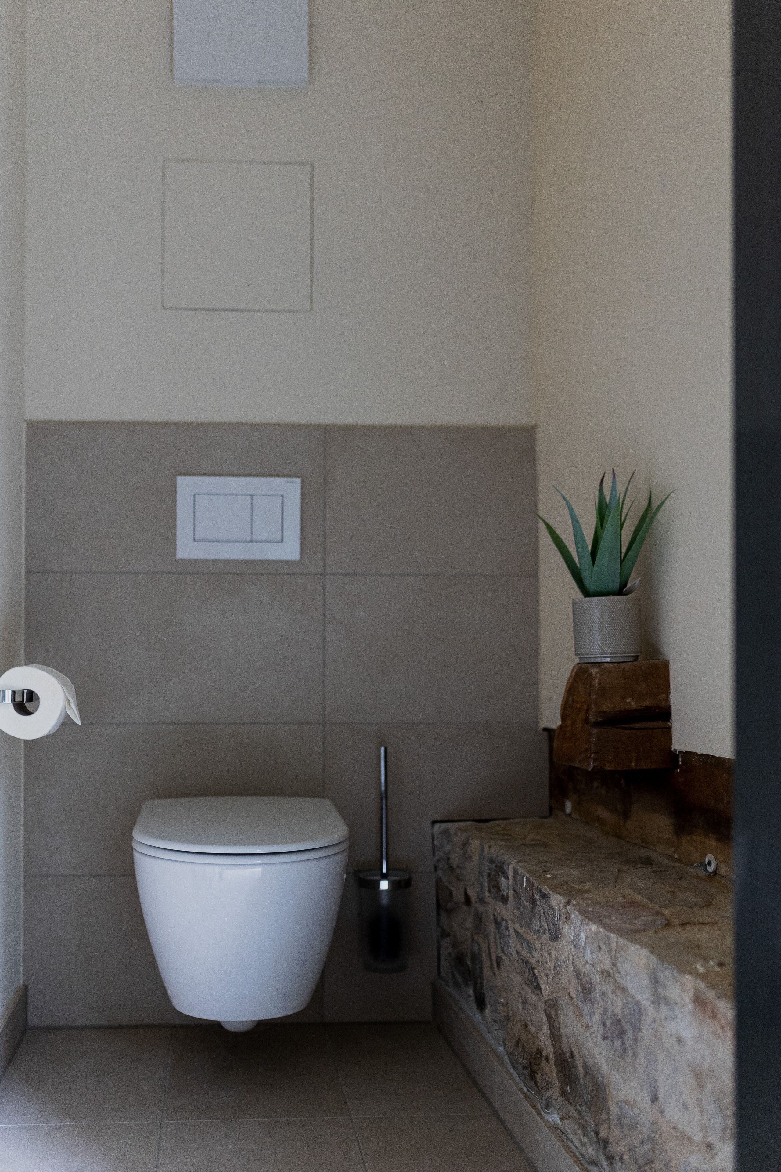 A compact bathroom with a toilet, a wall-mounted flush handle, a potted plant, and a stone ledge.