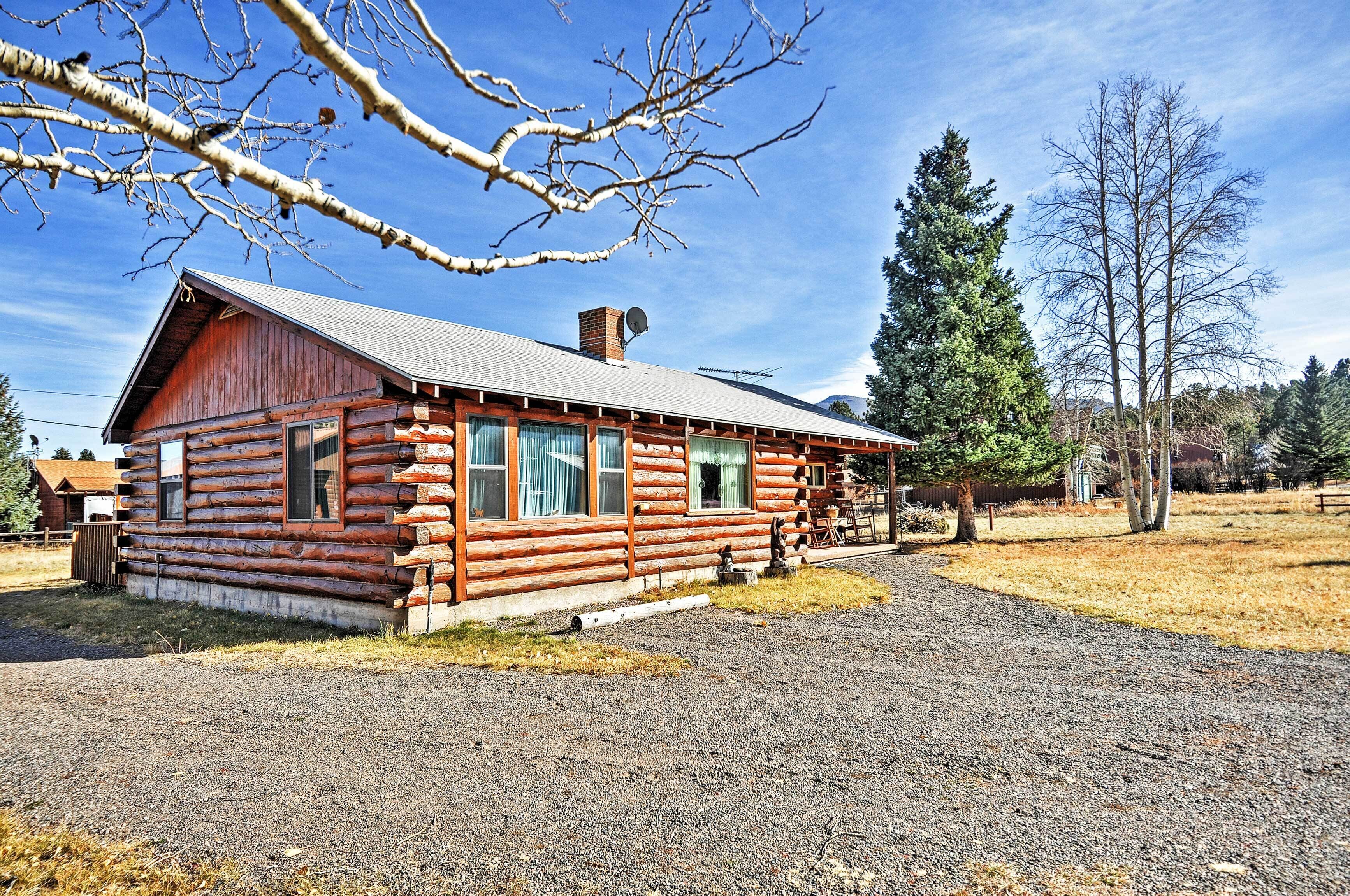 A log cabin with a gravel driveway, surrounded by trees and a clear sky.
