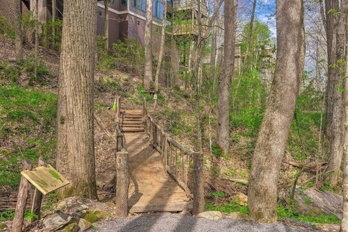 Pets Welcome: Quaint Blue Ridge Mountain Getaway!