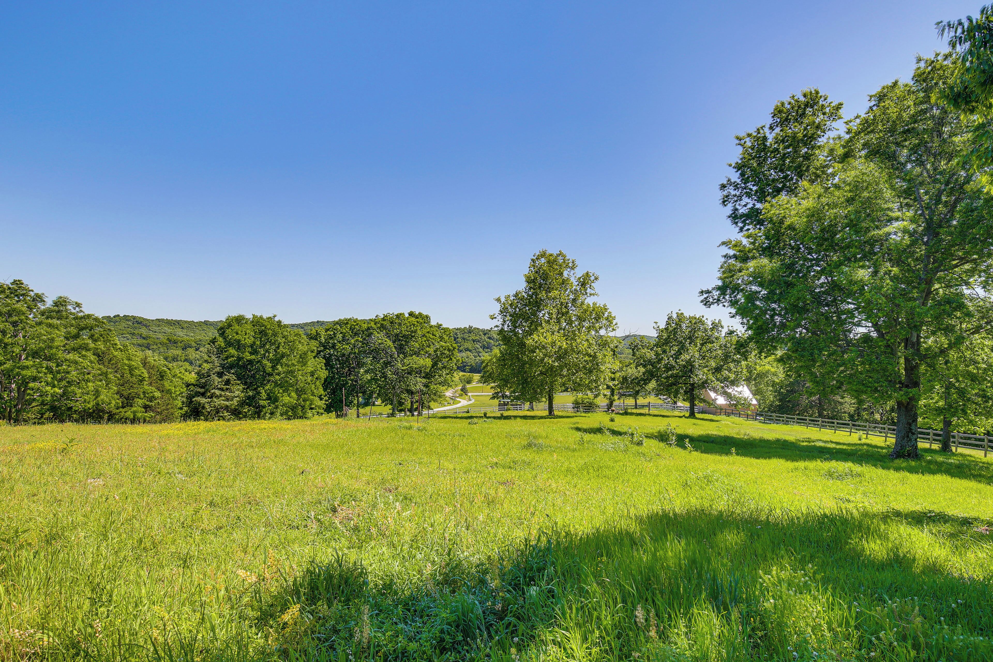 A grassy field with trees and a fence.