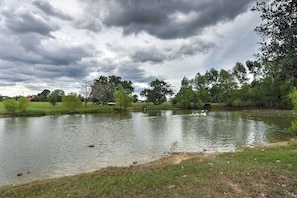 A calm lake surrounded by trees and grass. - Charming Carmine Studio w/ Pond On 60-acre Farm! (Carmine)