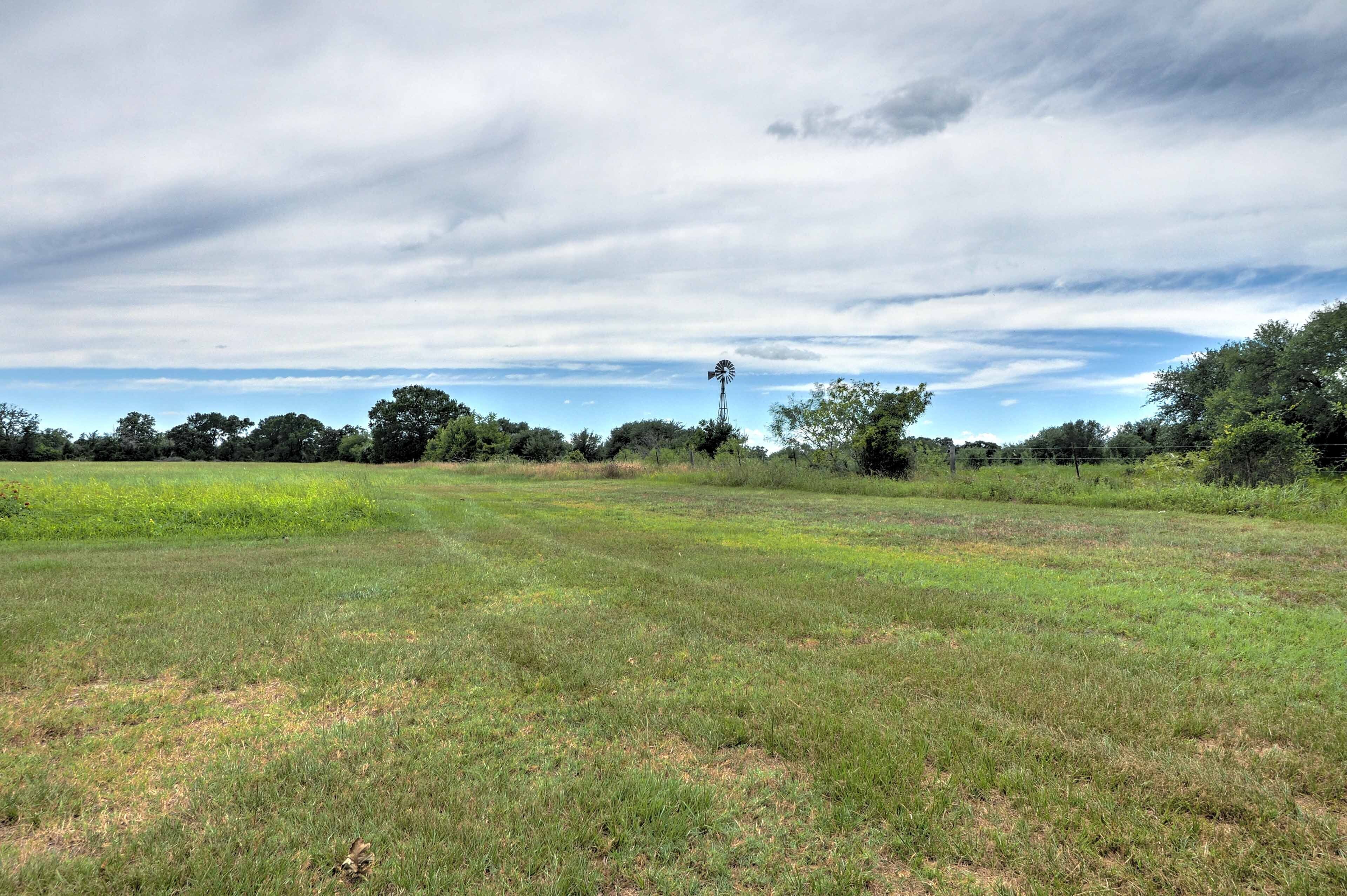A grassy field with a windmill in the distance and trees in the background.