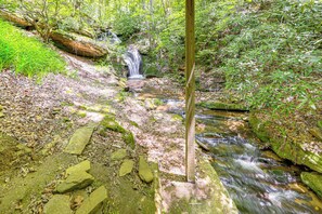 Un área boscosa con un pequeño arroyo que fluye sobre rocas.