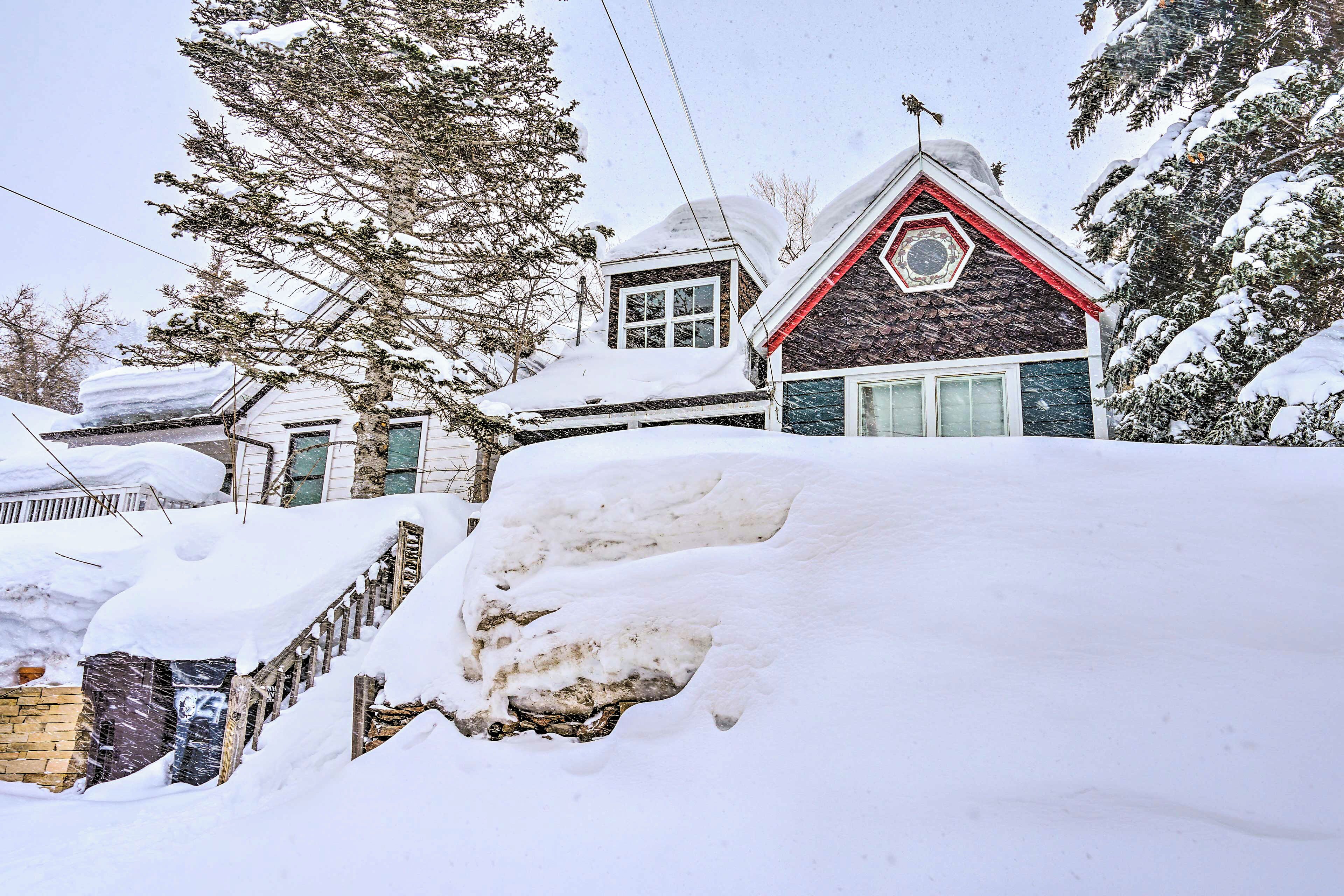 House (1 Bedroom) | Interior