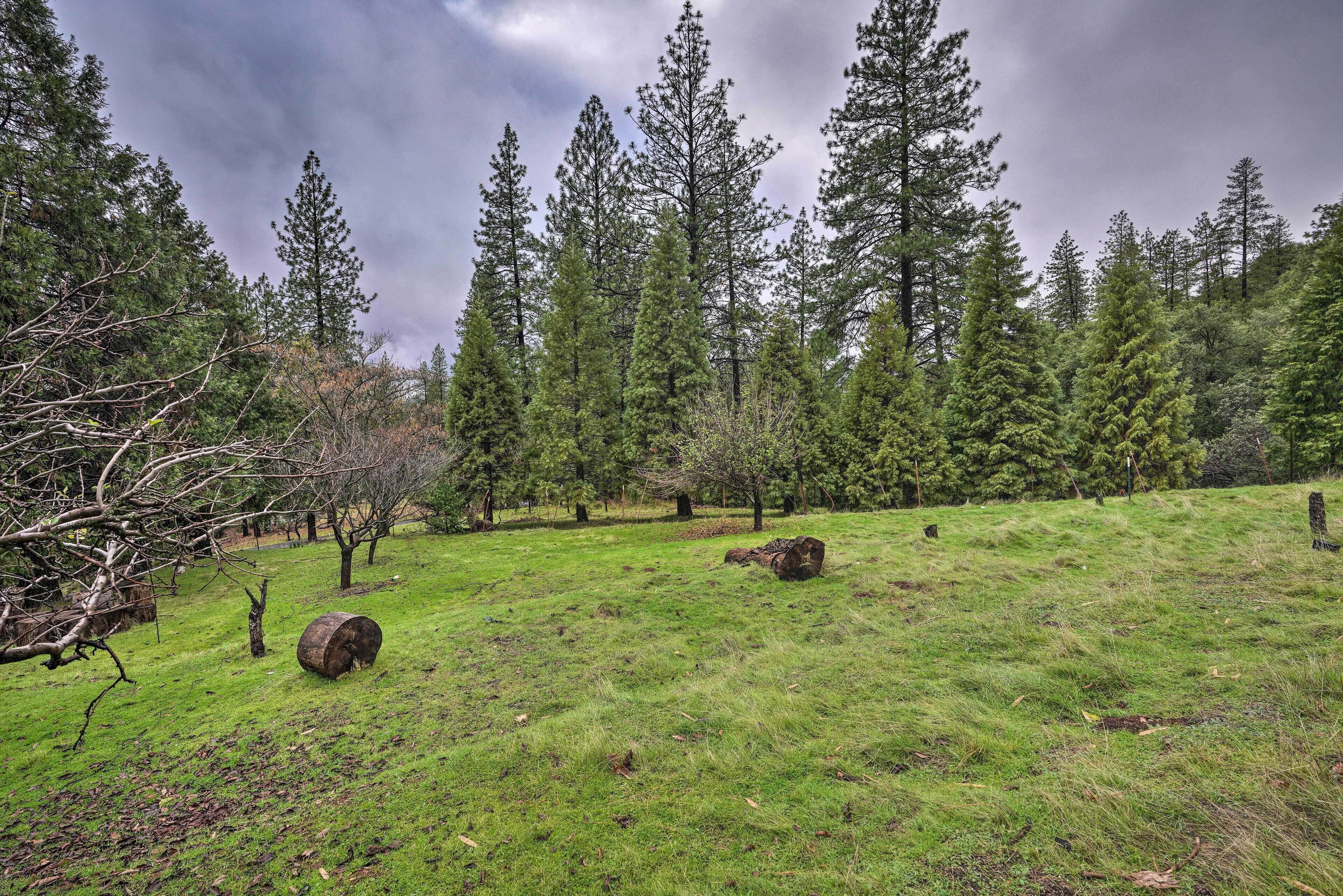 獨棟房屋 (3 Bedrooms) | 住宿內部