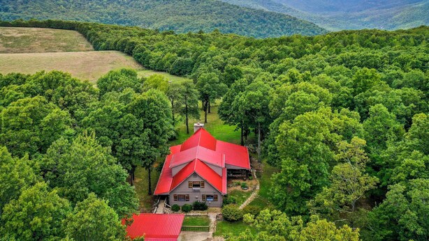 A house with a red roof surrounded by dense green forest.