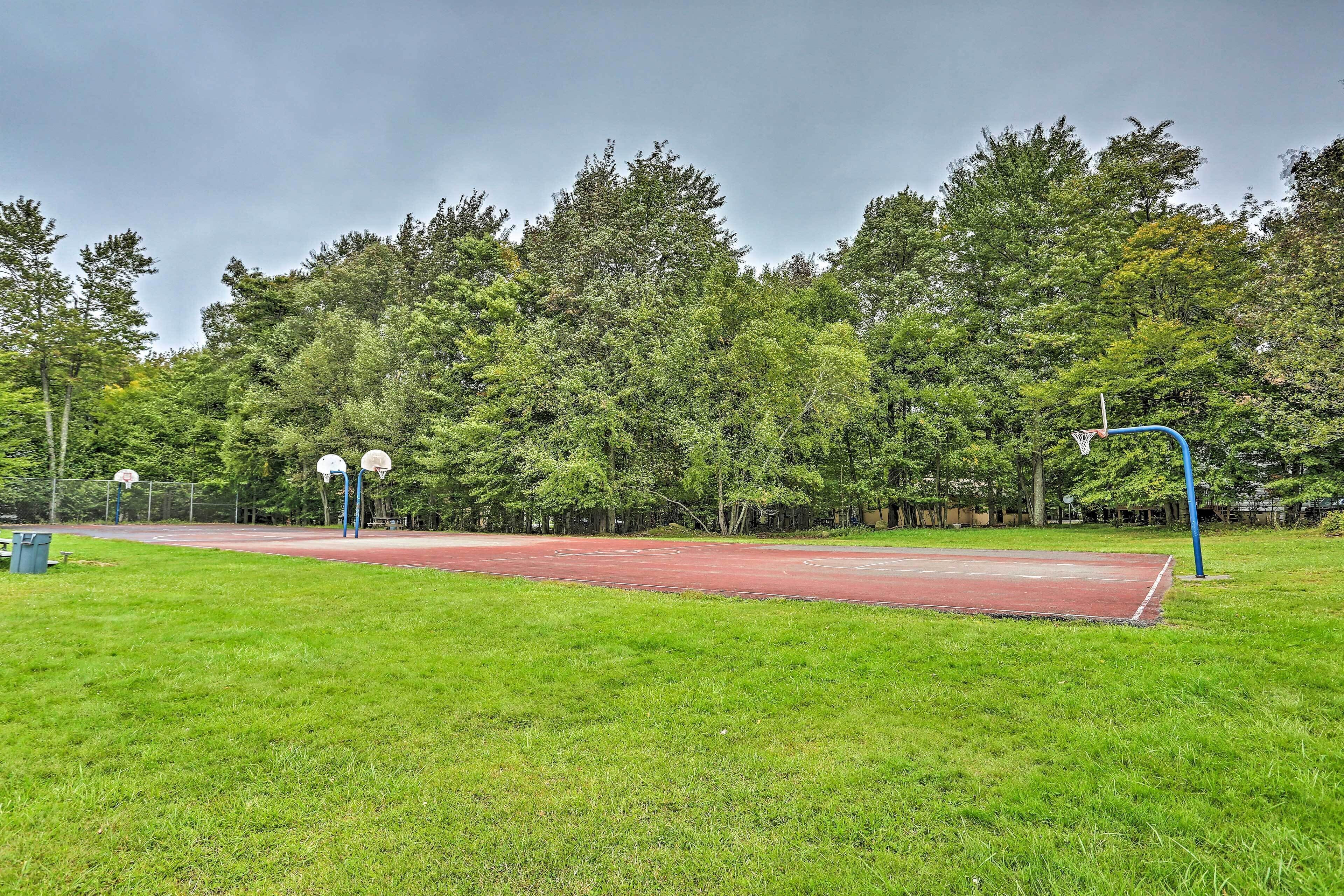 An outdoor basketball court surrounded by trees.