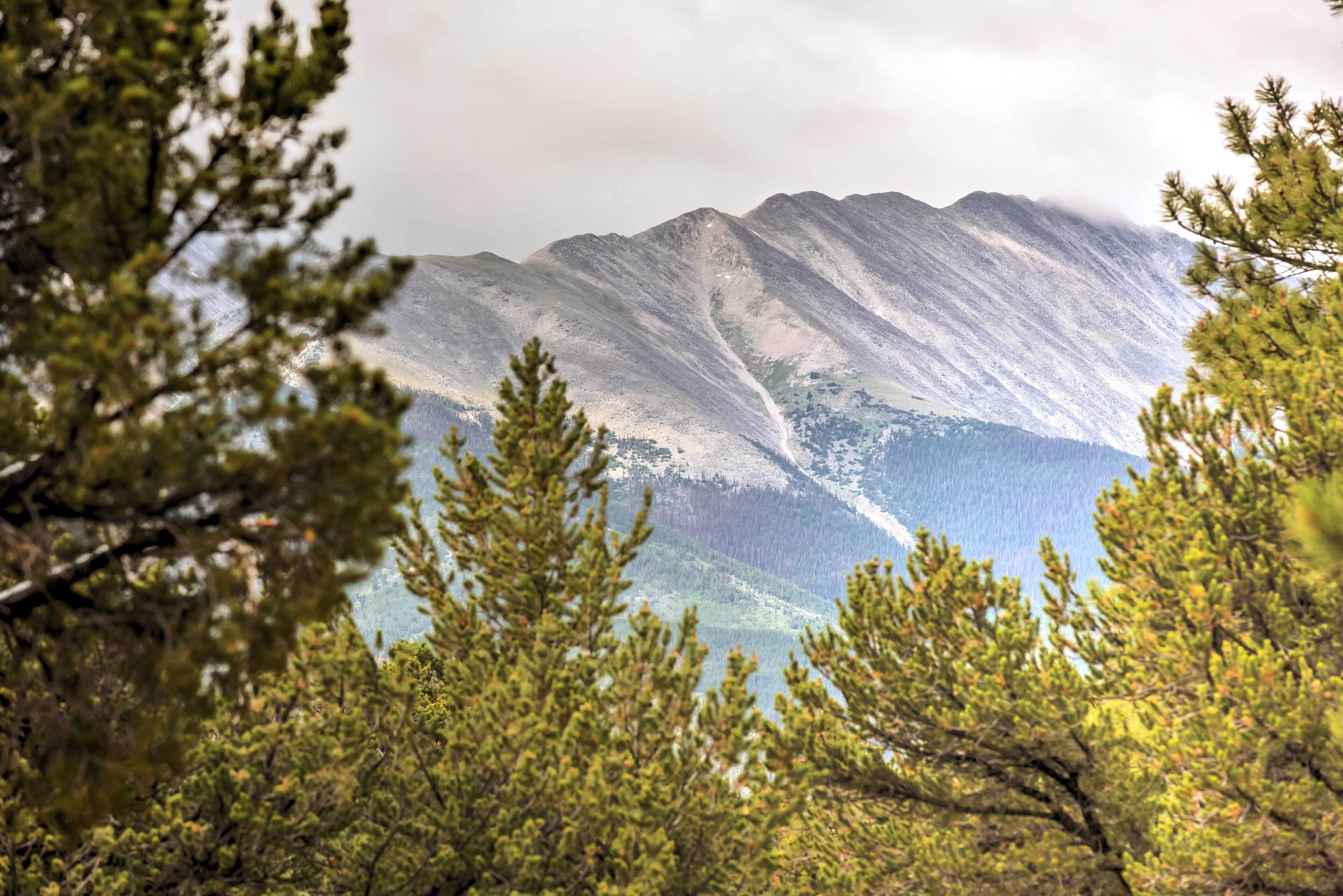 A mountain landscape with dense forest in the foreground.