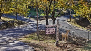 A sign reading "Cousin Larry's" with a deer statue at a roadside entrance.