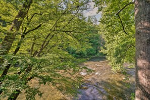 House (3 Bedrooms) | Interior - Crystal River Cabin w/ Scenic View & Fire Pit (Townsend)