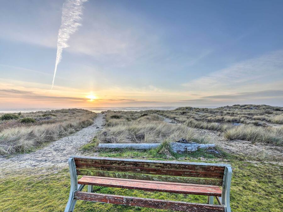 A bench in a natural setting with a path leading to the ocean and a sunset in the background.