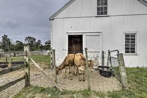 Casa (5 Bedrooms) | Interior