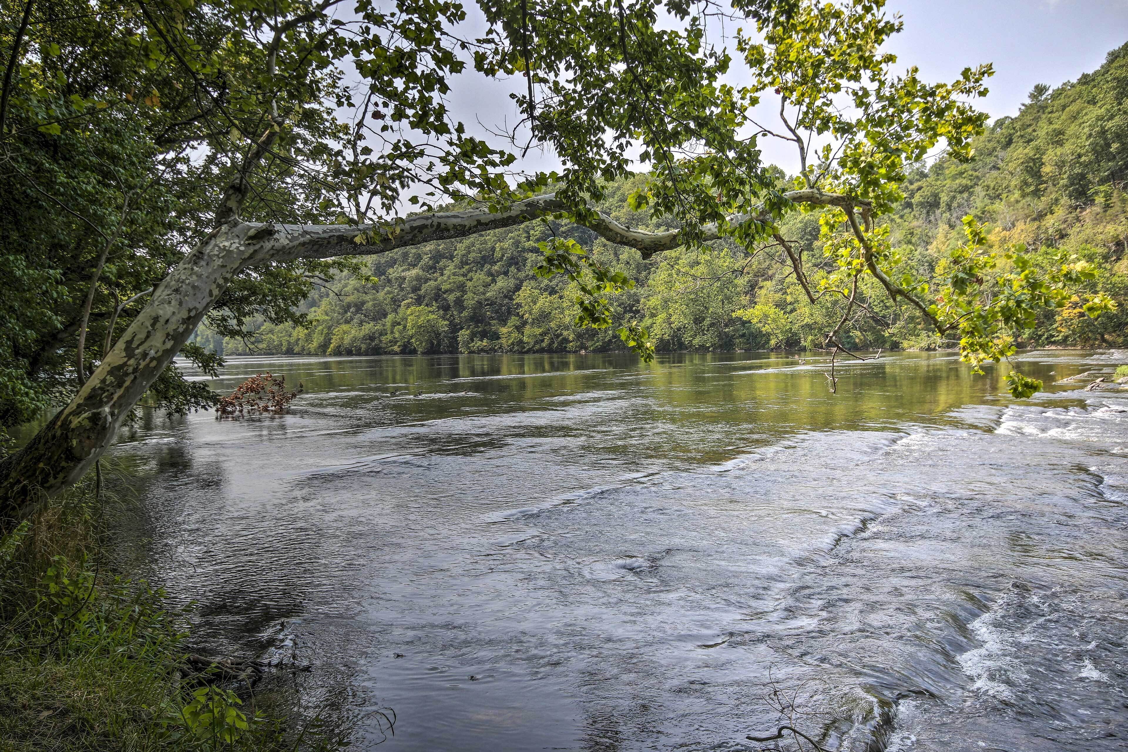 Shenandoah River Getaway < 9 Mi to Downtown Luray!