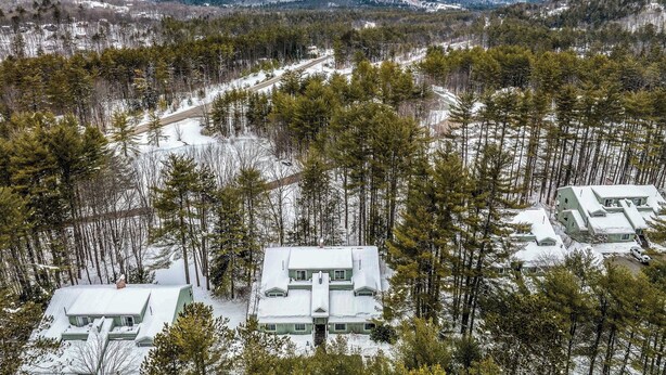 Une maison à plusieurs étages, entourée d’une forêt, avec un paysage enneigé et des montagnes en arrière-plan.