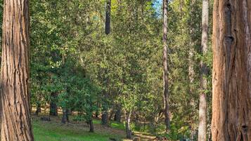 Rumah (2 Bedrooms) | Interior