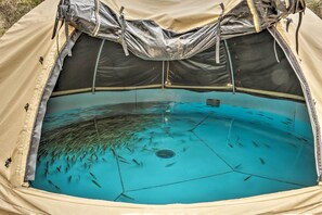 Casa (3 Bedrooms) | Parte interna