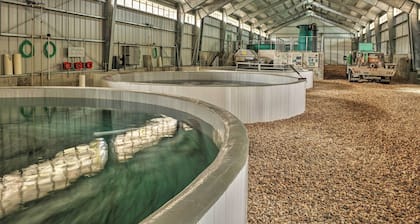 Large Ten Sleep Home on Main St, 10 Mins to Canyon