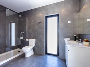 Shower, hair dryer, towels