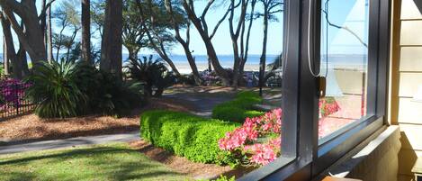 Appartement (2 Bedrooms) | Intérieur