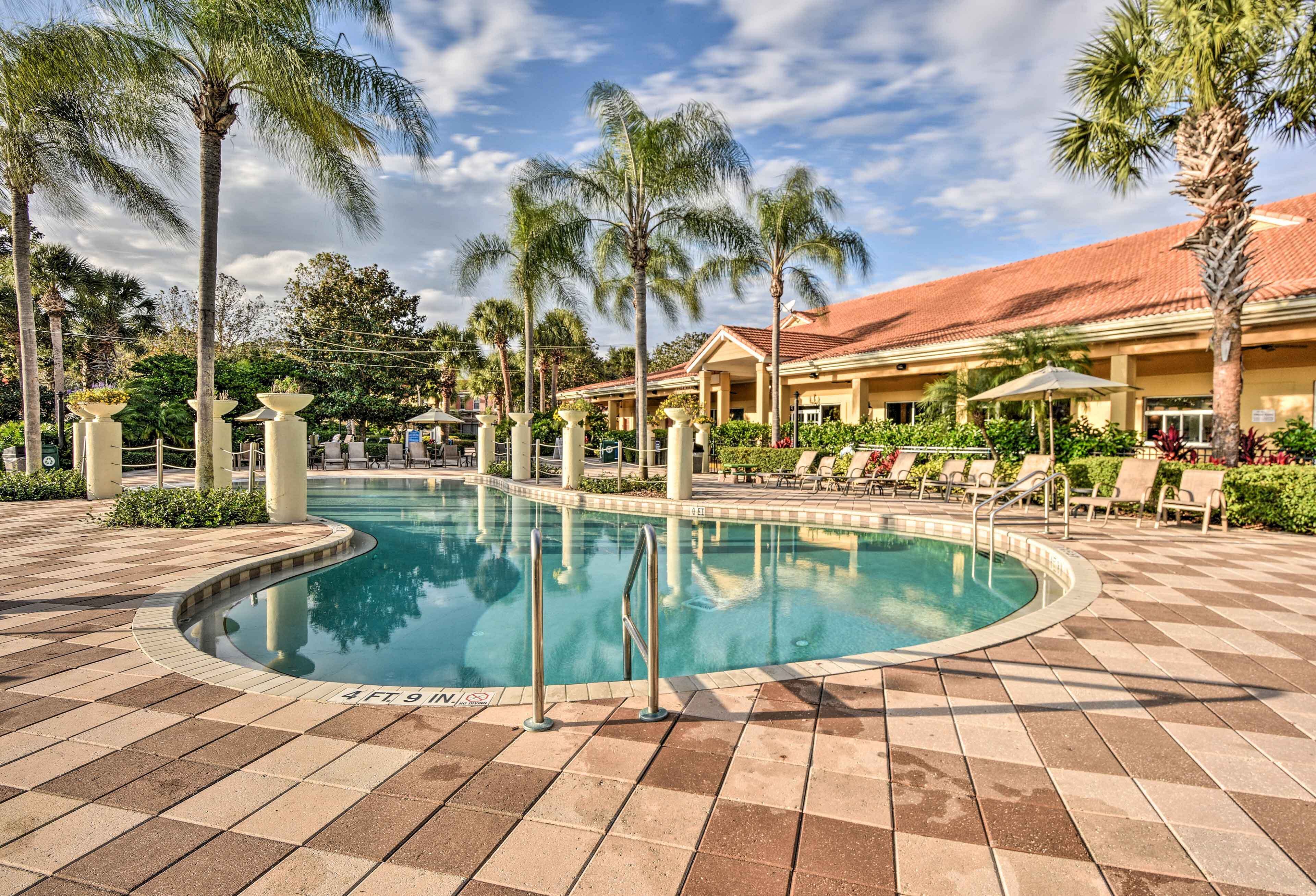 A swimming pool with a tiled deck, palm trees, and lounge chairs.
