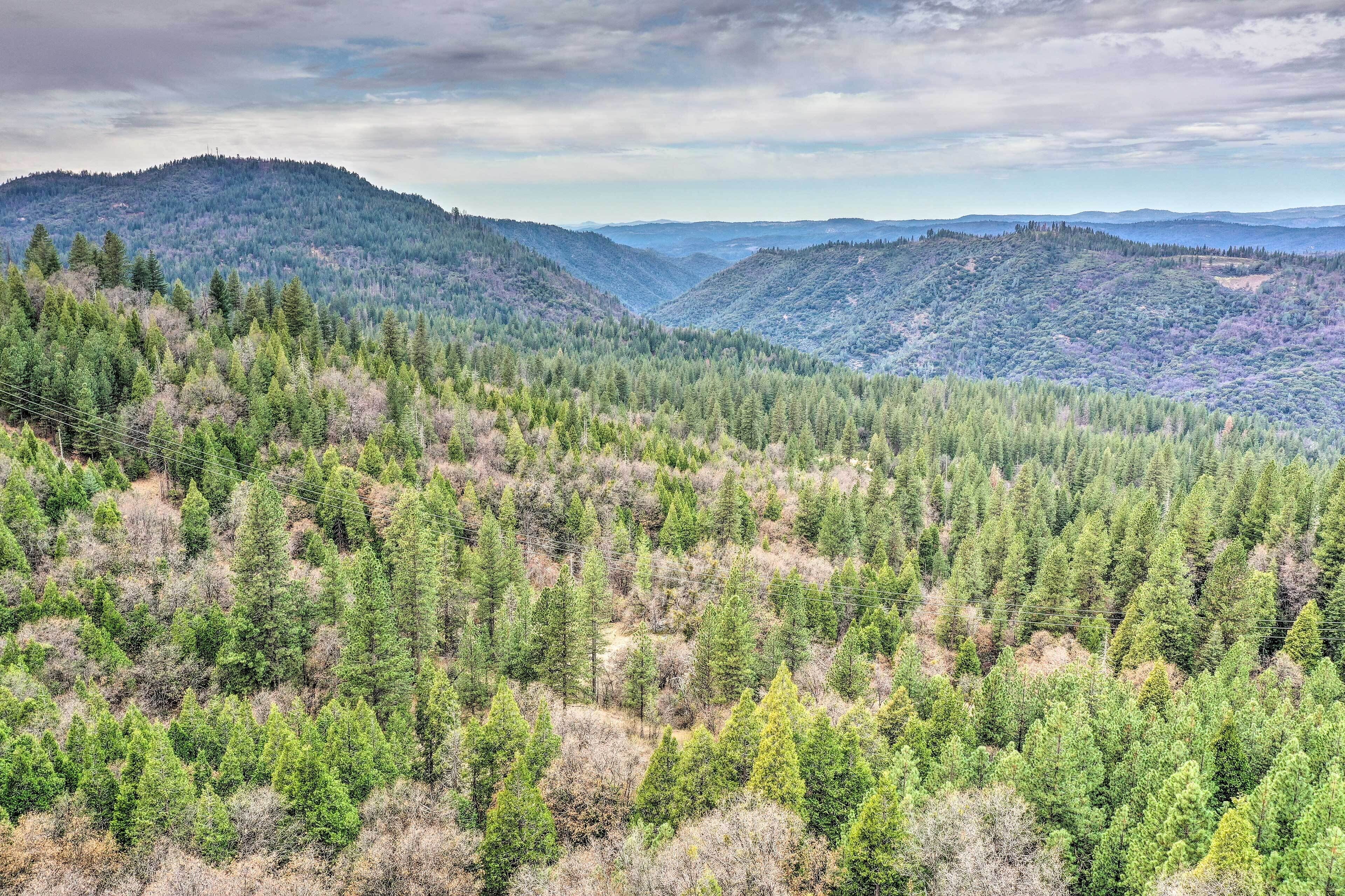 A forested mountain landscape with a clear sky.