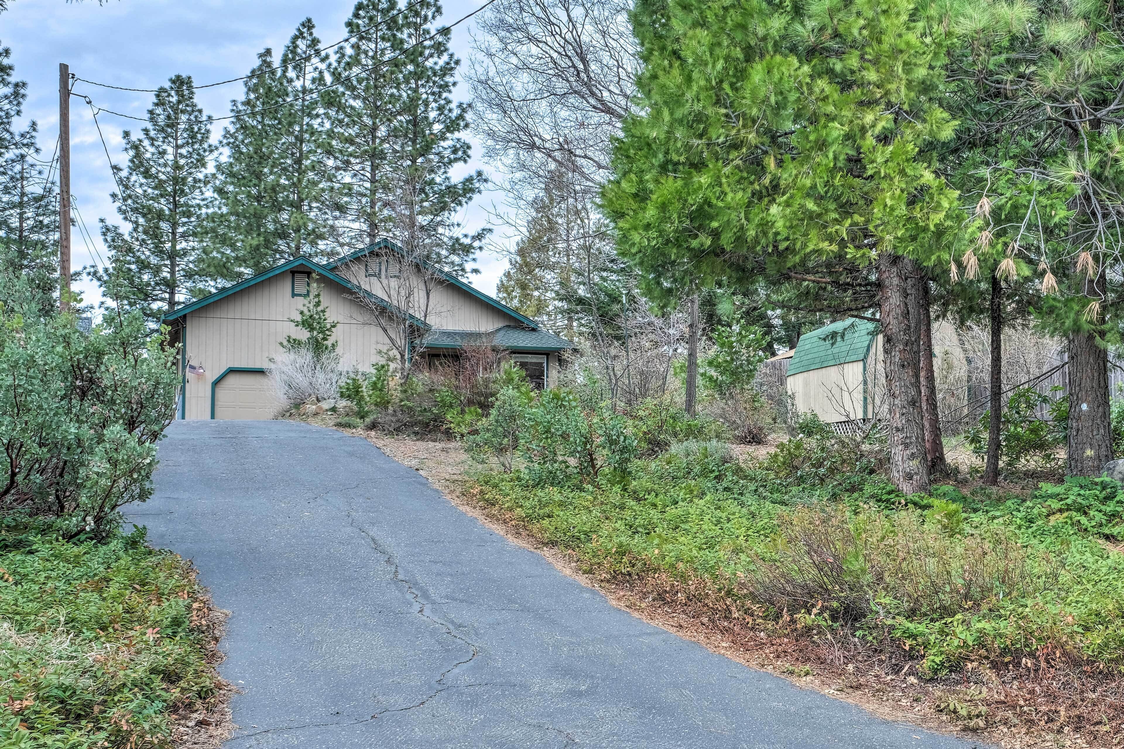 A residential area with a paved driveway leading to a house with a green roof.
