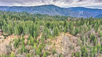 A forested mountain landscape with a cabin and a small building.