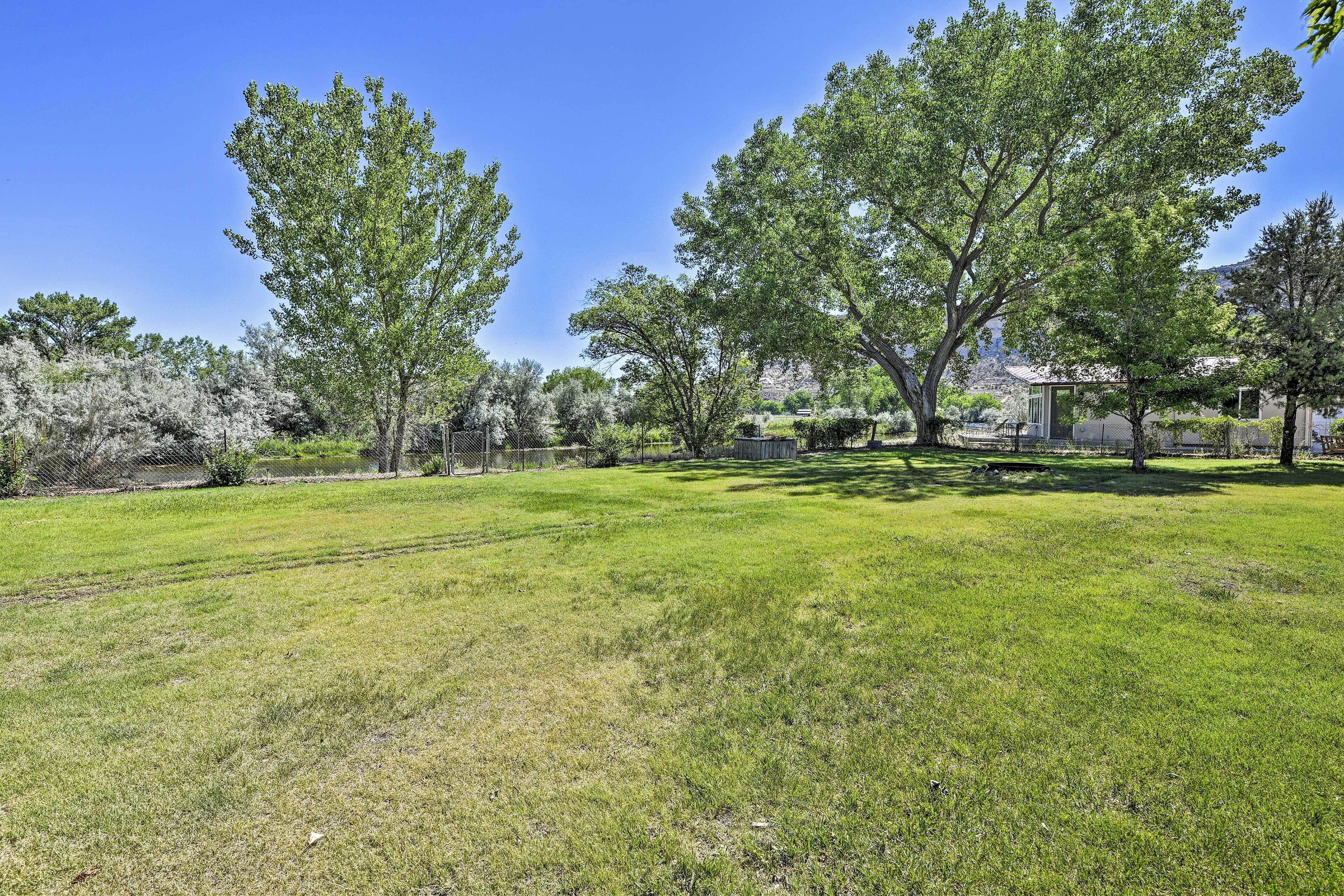 A grassy yard with trees and a fence.