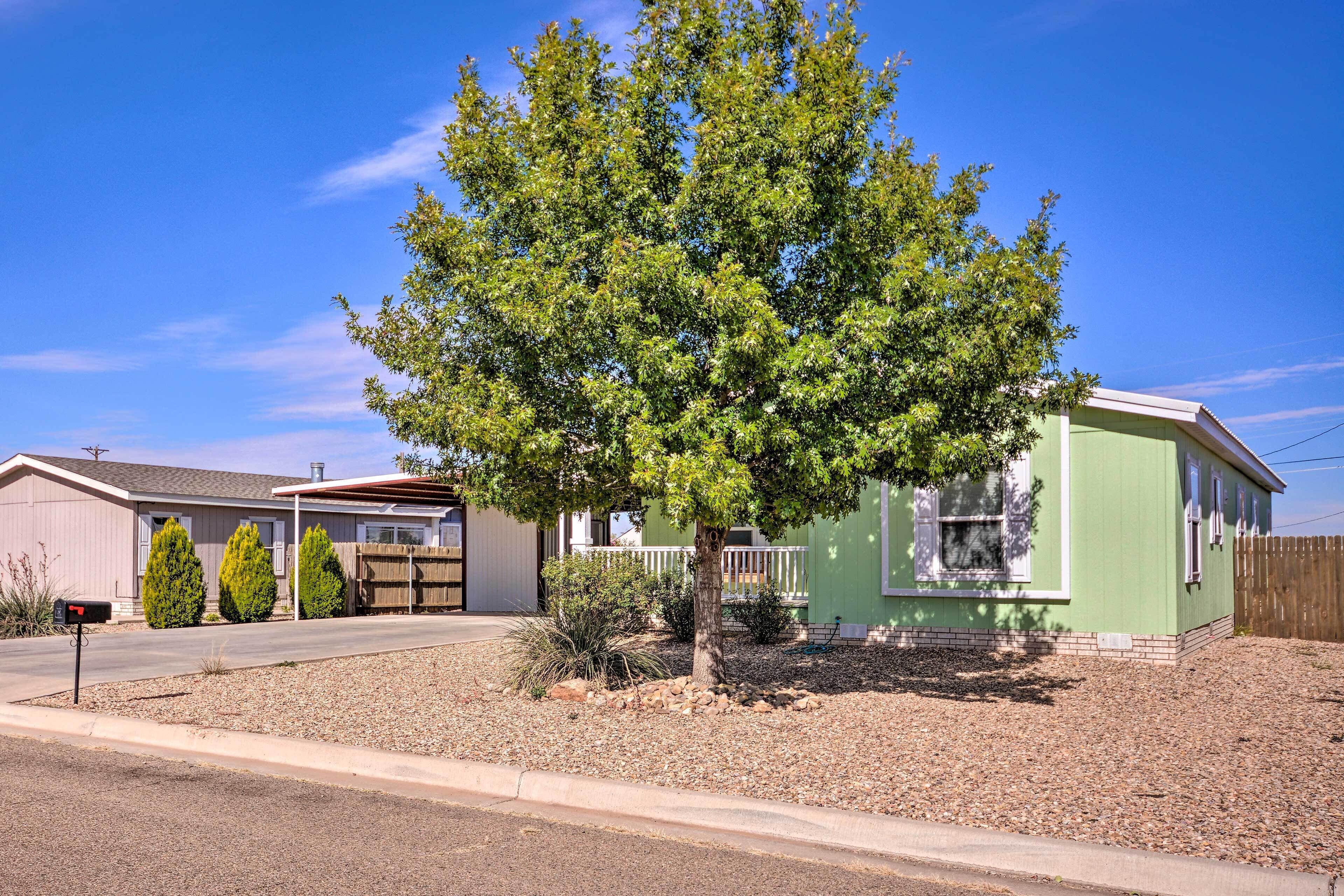 A single-story house with a green exterior and a tree in front.