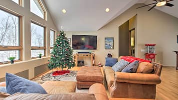 TV, fireplace, books