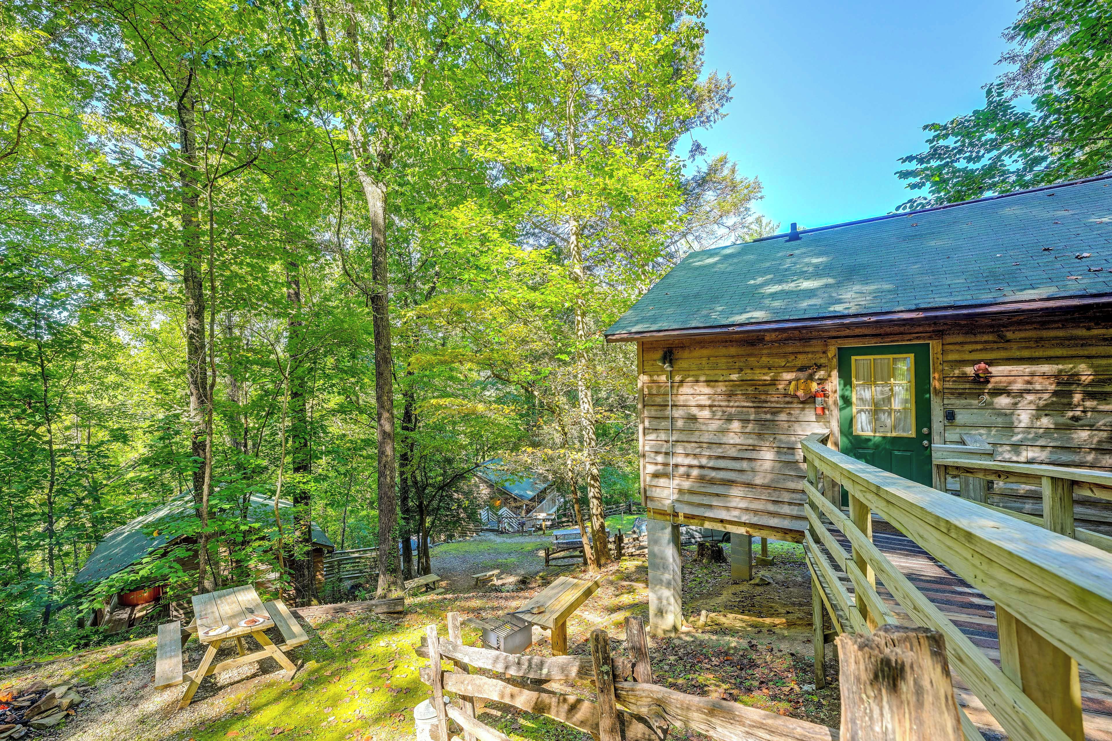 A rustic cabin with a wooden deck and a green door, surrounded by dense trees.