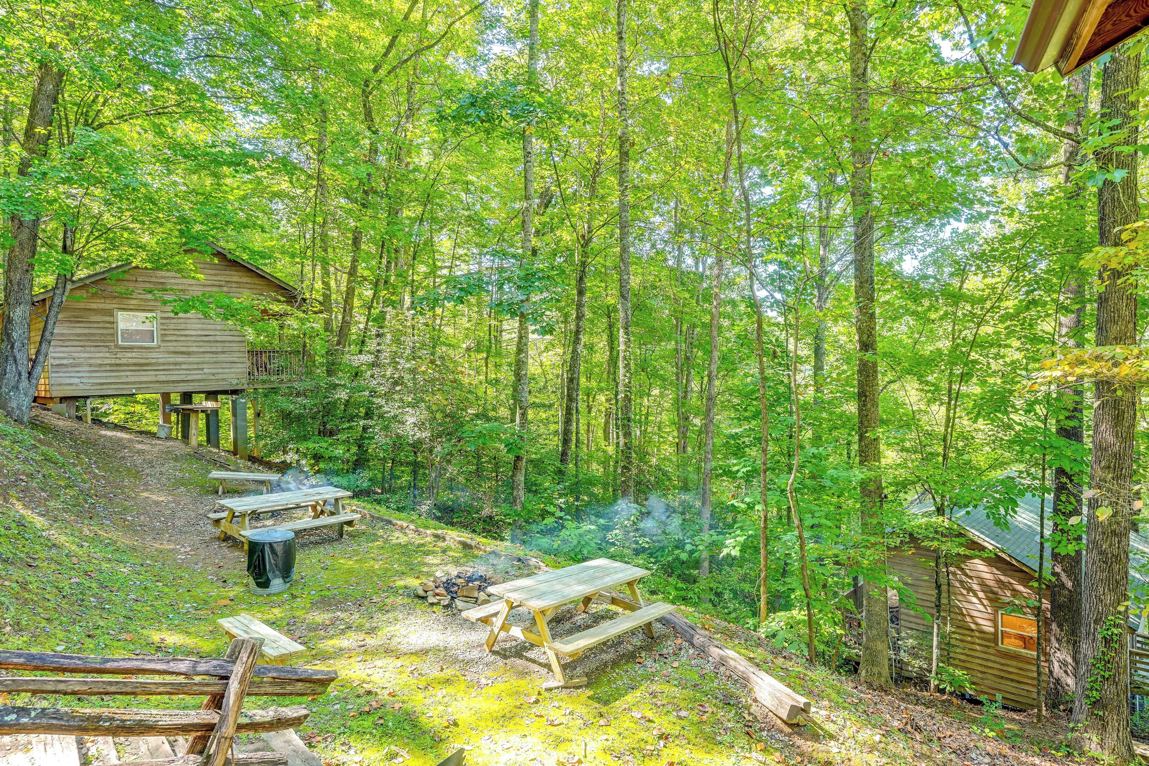 Un chalet rustique doté d’une terrasse en bois et de tables de pique-nique, situé dans une zone boisée.